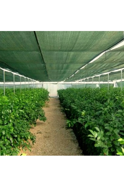 Cітка для затінення (тіньовка)